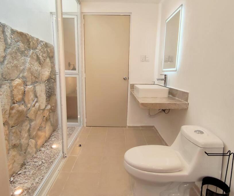 메리다 Casa Colibri Con Alberca En El Centro 아파트 외부 사진