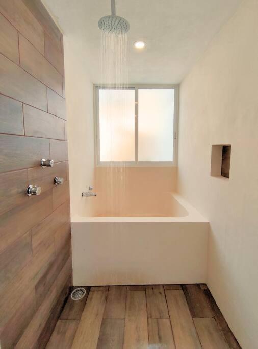 메리다 Casa Colibri Con Alberca En El Centro 아파트 외부 사진